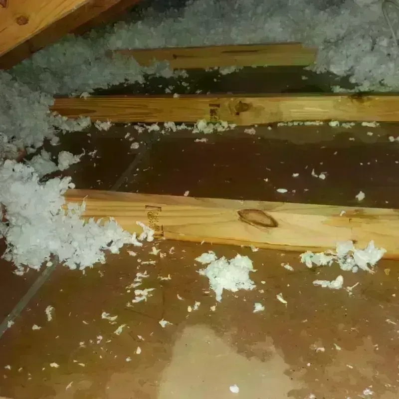 Attic Water Damage in Waterbury, CT